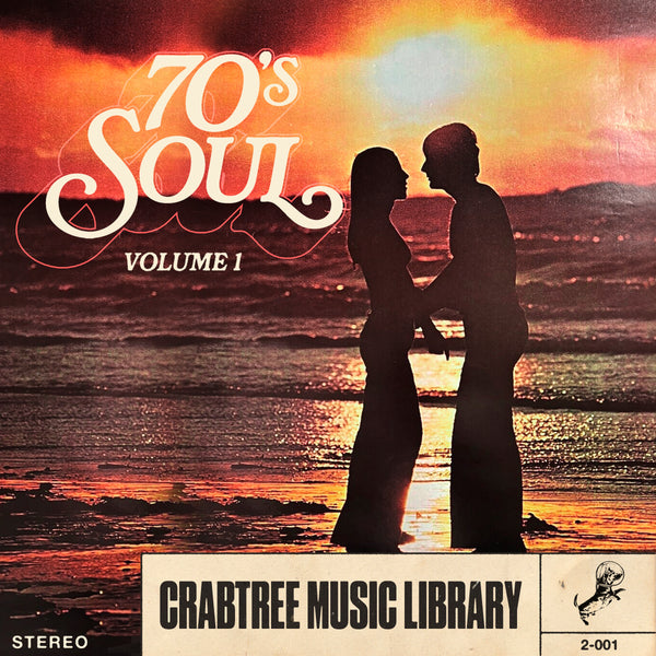 Cinematic Soul Samples | 70's Soul Vol. 1 | The Sample Lab