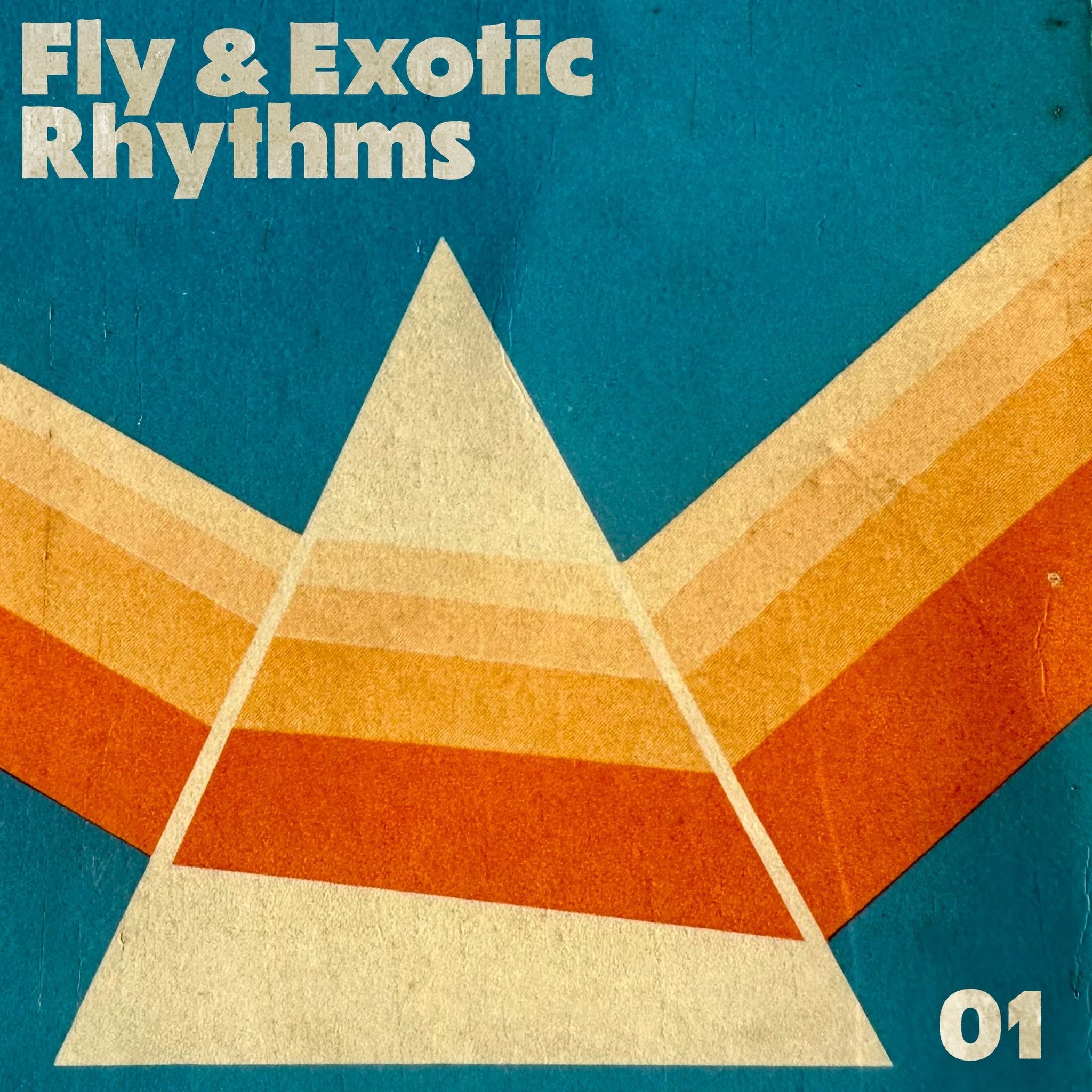 Fly & Exotic Rhythms