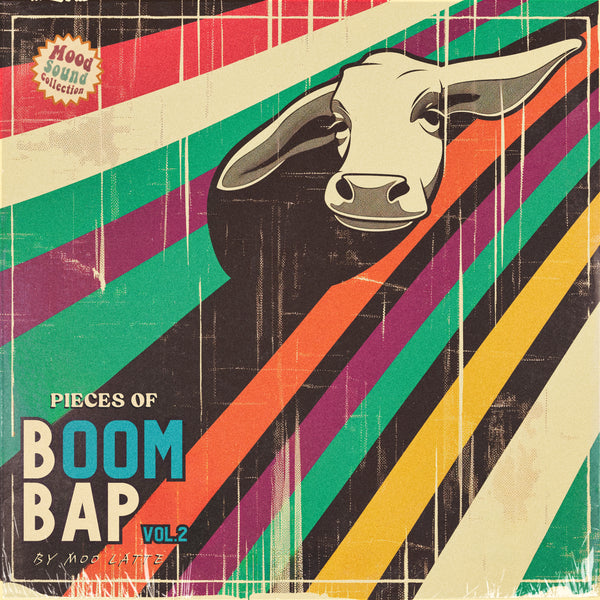 Pieces Of Boom Bap | Authentic Hip Hop Samples | The Sample Lab