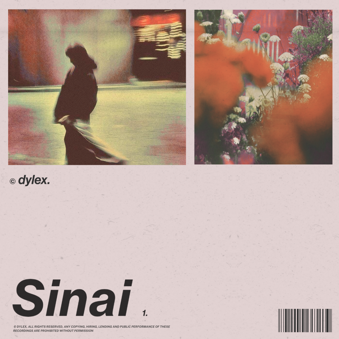 Sinai Vol. 1
