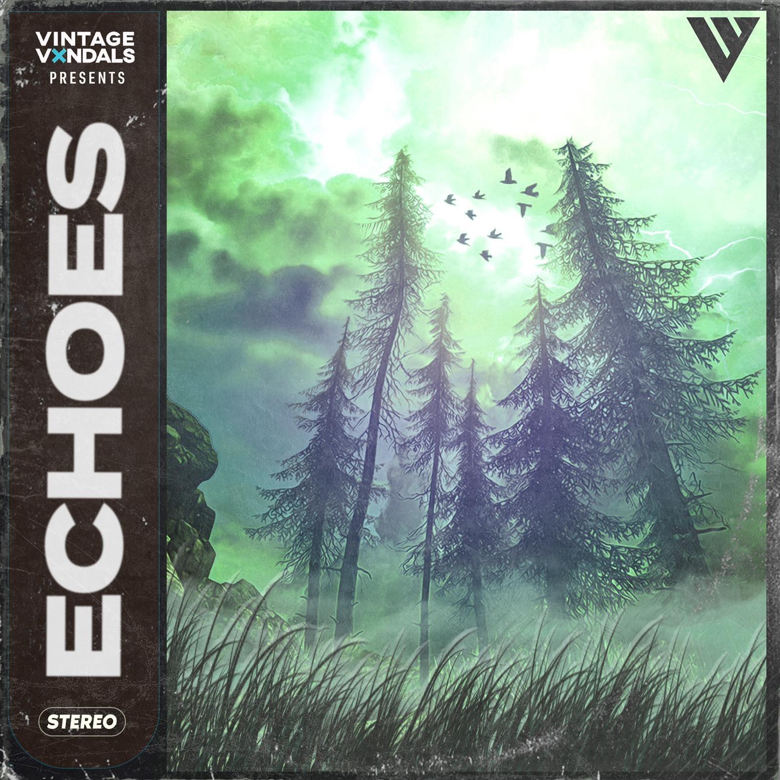 The Vintage Vxndals - Echoes - The Sample Lab