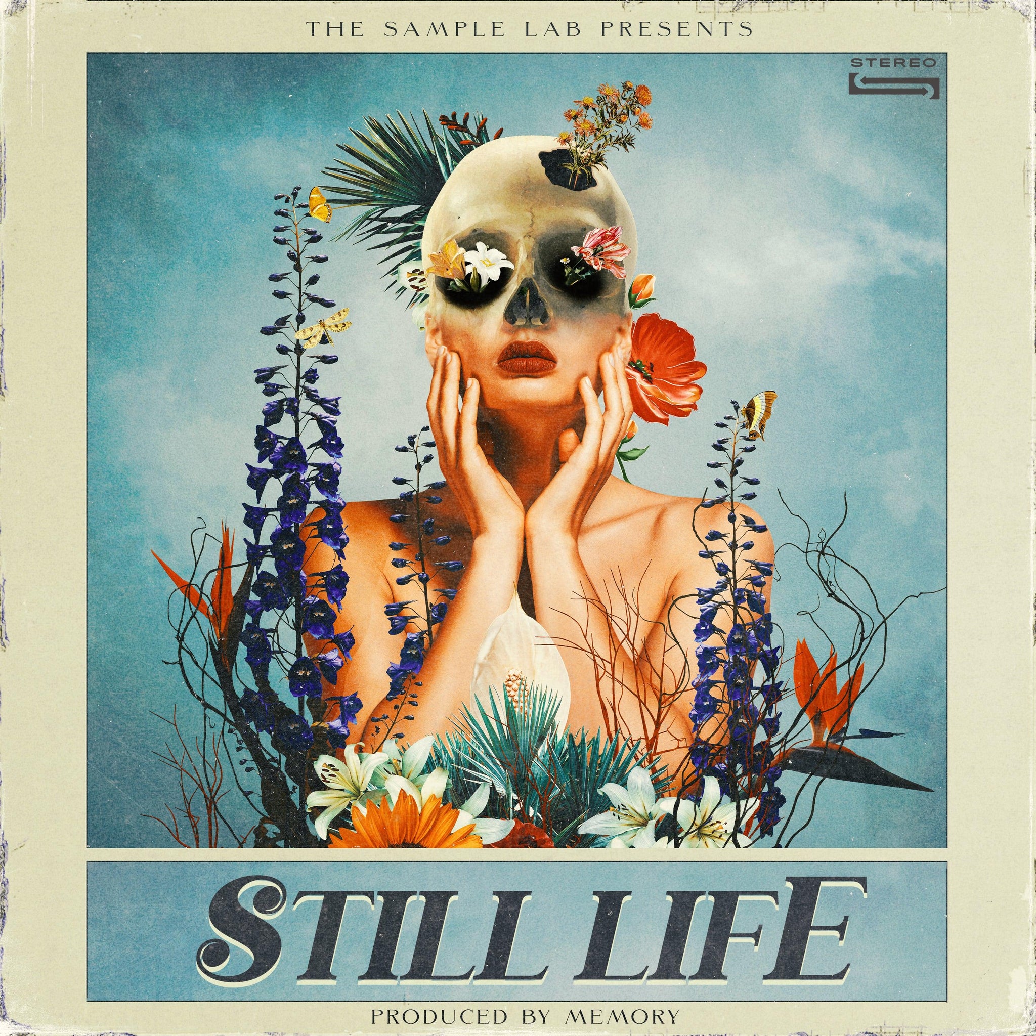 Still Life - The Sample Lab